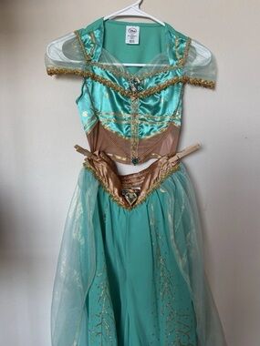 Disney Teal and Gold Princess Dress Costume